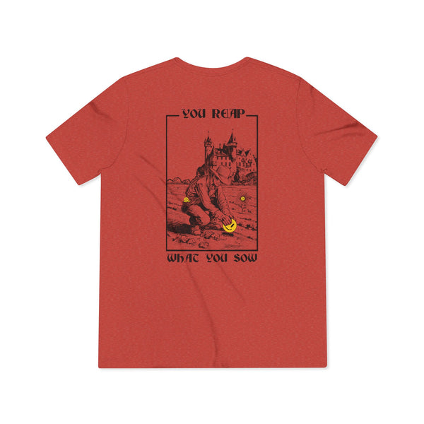 Sow Smiles! - Farmer Back - Triblend Tee