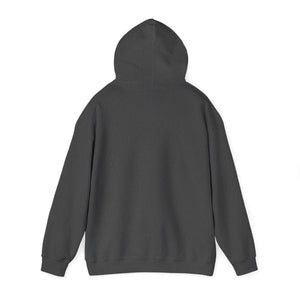 102D SSB - Unisex Heavy Blend™ Hooded Sweatshirt
