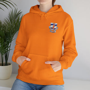 102D SSB - Unisex Heavy Blend™ Hooded Sweatshirt