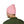 Reap Smiles - Classic Cuffed Beanie (Embroidery)
