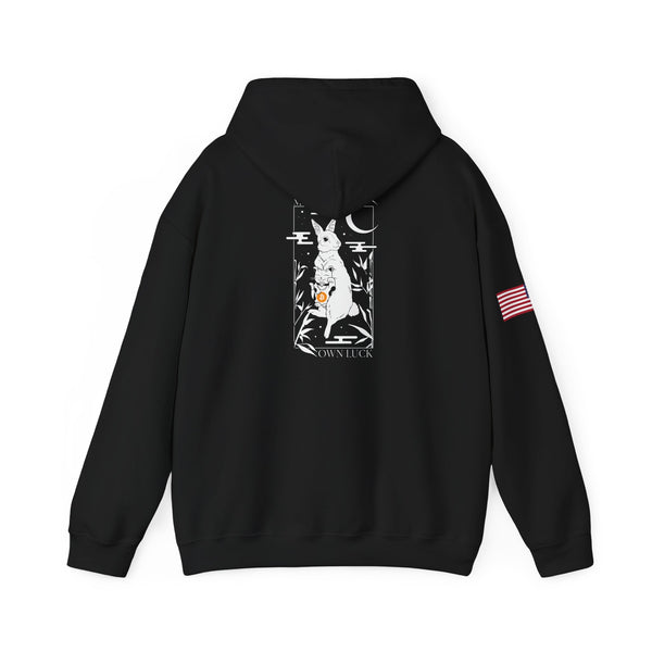 Bitcoin - USA Flag on Right Sleeve - Unisex Heavy Blend™ Hooded Sweatshirt