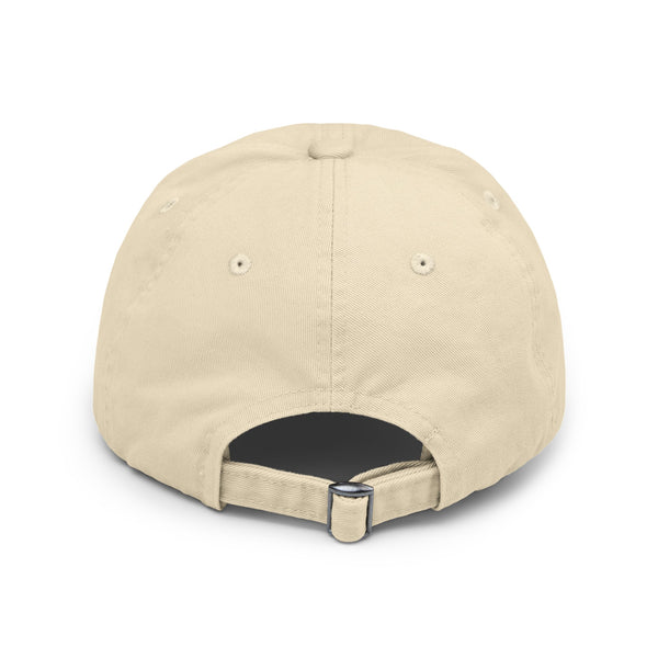 2TSB Distressed Cap