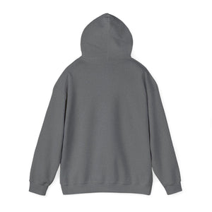 102D SSB - Unisex Heavy Blend™ Hooded Sweatshirt