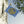 Praetorians Flag blue