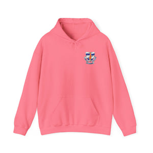 102D SSB - Unisex Heavy Blend™ Hooded Sweatshirt