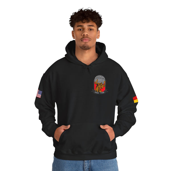 USANEC-S  Flags on Sleeves  Unisex Heavy Blend™ Hooded Sweatshirt