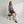 102d SSB - Unisex Garment-Dyed Lightweight Fleece Sweat Shorts