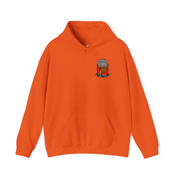 CMO - No Flags on Sleeves - USANEC-S - Unisex Heavy Blend™ Hooded Sweatshirt