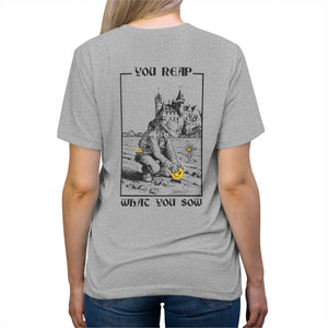 Sow Smiles! - Farmer Back - Triblend Tee