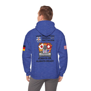 S4 - Option 1 - 102D SSB - Flags on Sleeves - Unisex Heavy Blend™ Hooded Sweatshirt