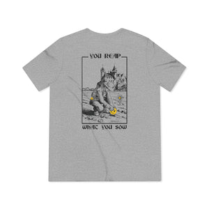 Sow Smiles! - Farmer Back - Triblend Tee